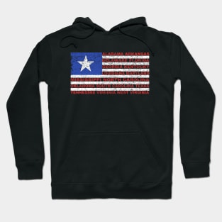 American Flag Southern States Hoodie